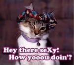 lolcats